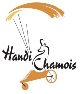 Handi Chamois